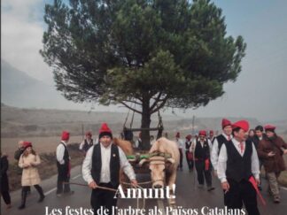 Amunt! Les festes de l'arbre als Països Catalans