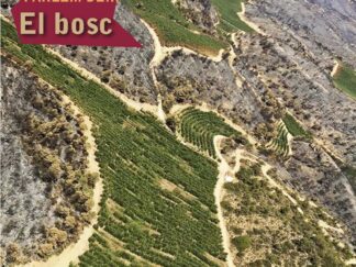 Revista Caramella. n.42: Parle de ... El Bosc