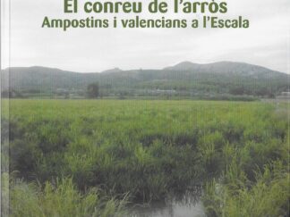 El conreu de l'arròs