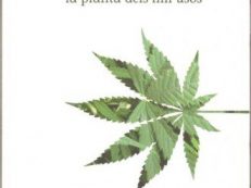 El Canem