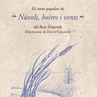 Núvols, boires i vents