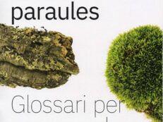 El pessebre en 100 paraules