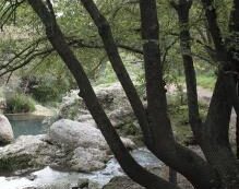El Mediona-Riudebitlles, la vida d'una vall