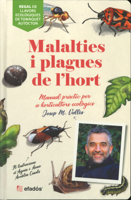 Malalties i plagues de l'hort