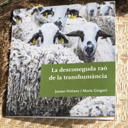 La desconeguda raó de la transhumància