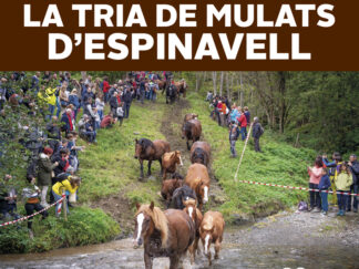 La Tria de Mulats d’Espinavell